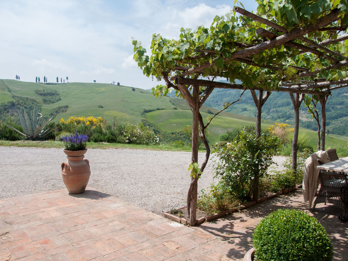 Terrace garden with vine pergola and potted plants