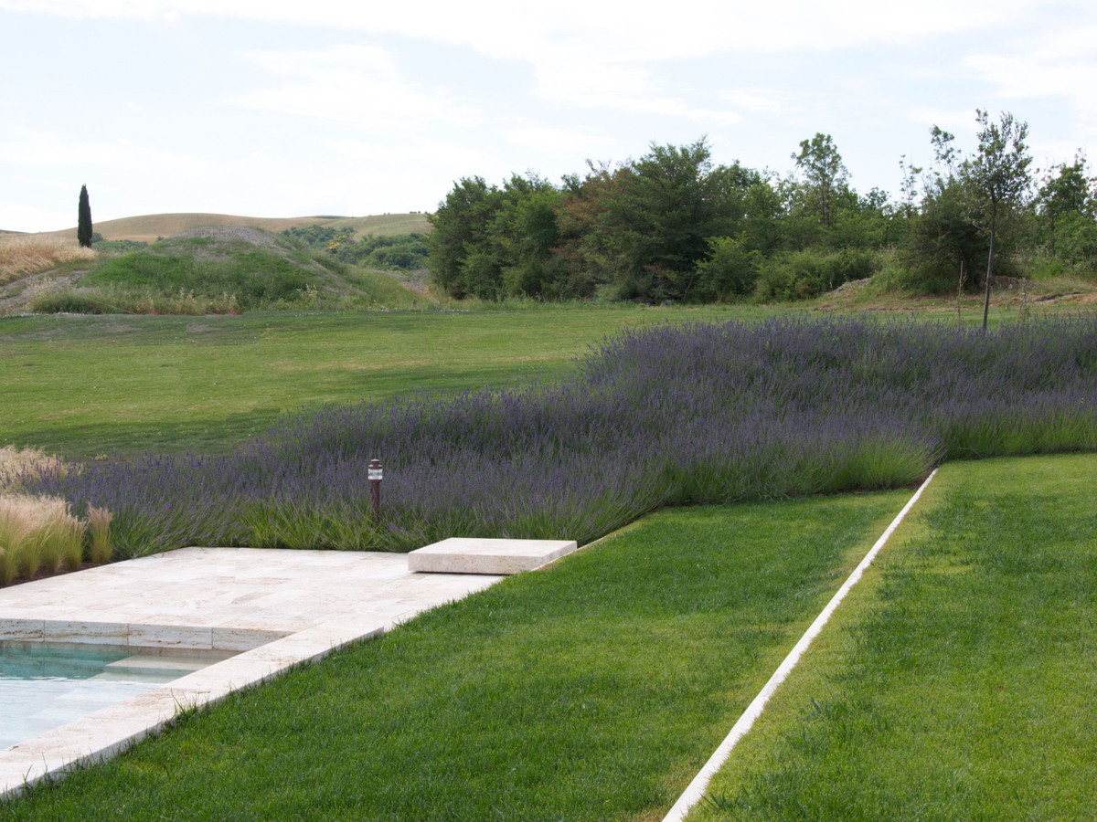 Garden border with seasonal flowering plants
