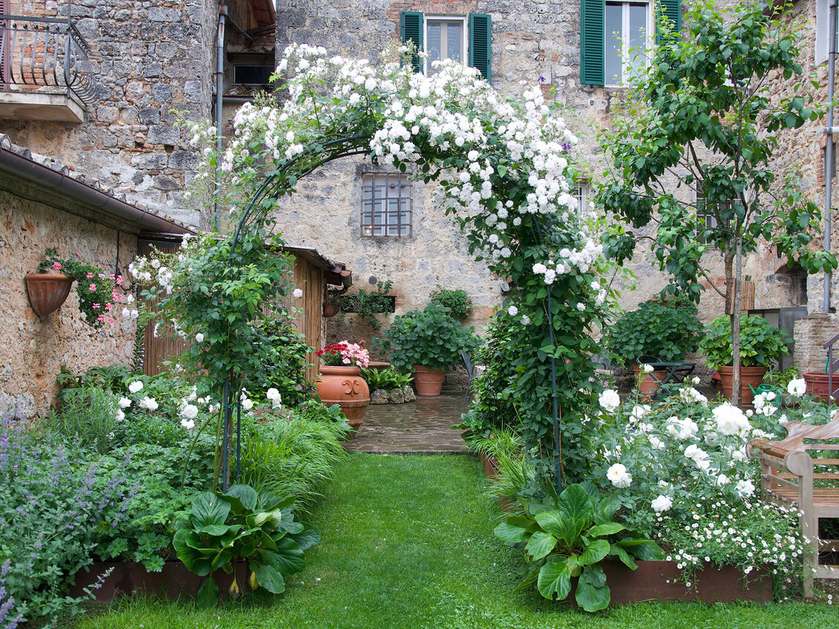 Landscape planting with native Mediterranean species