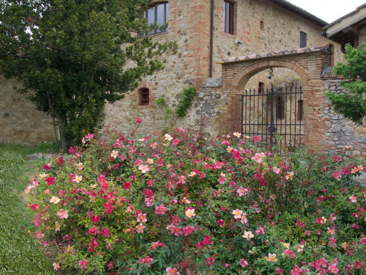 Garden detail with ornamental grasses