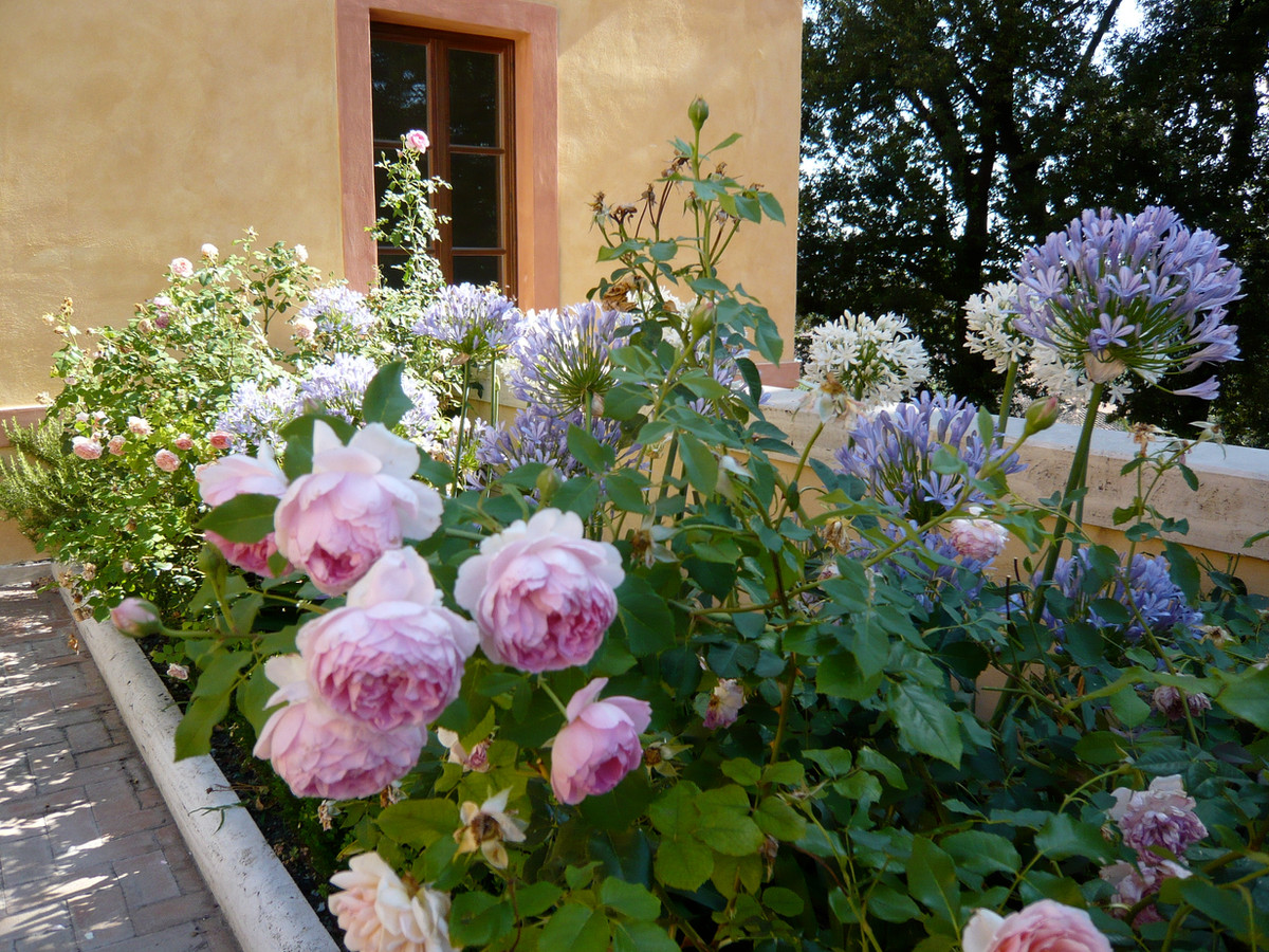 Roof garden - rooftop garden overview