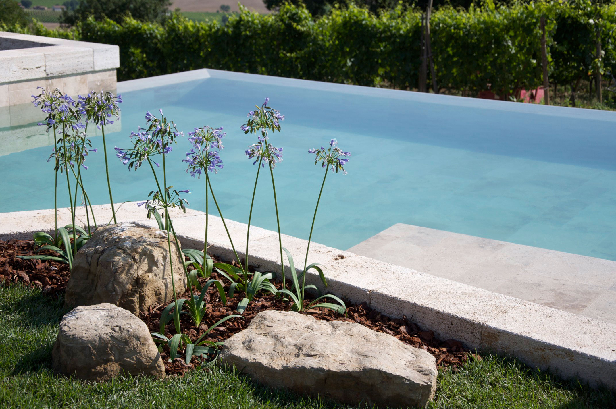 Swimming pool landscape design