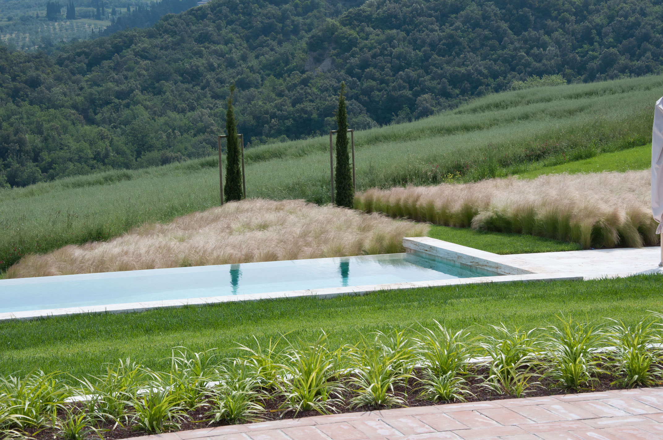 Swimming pool landscape design