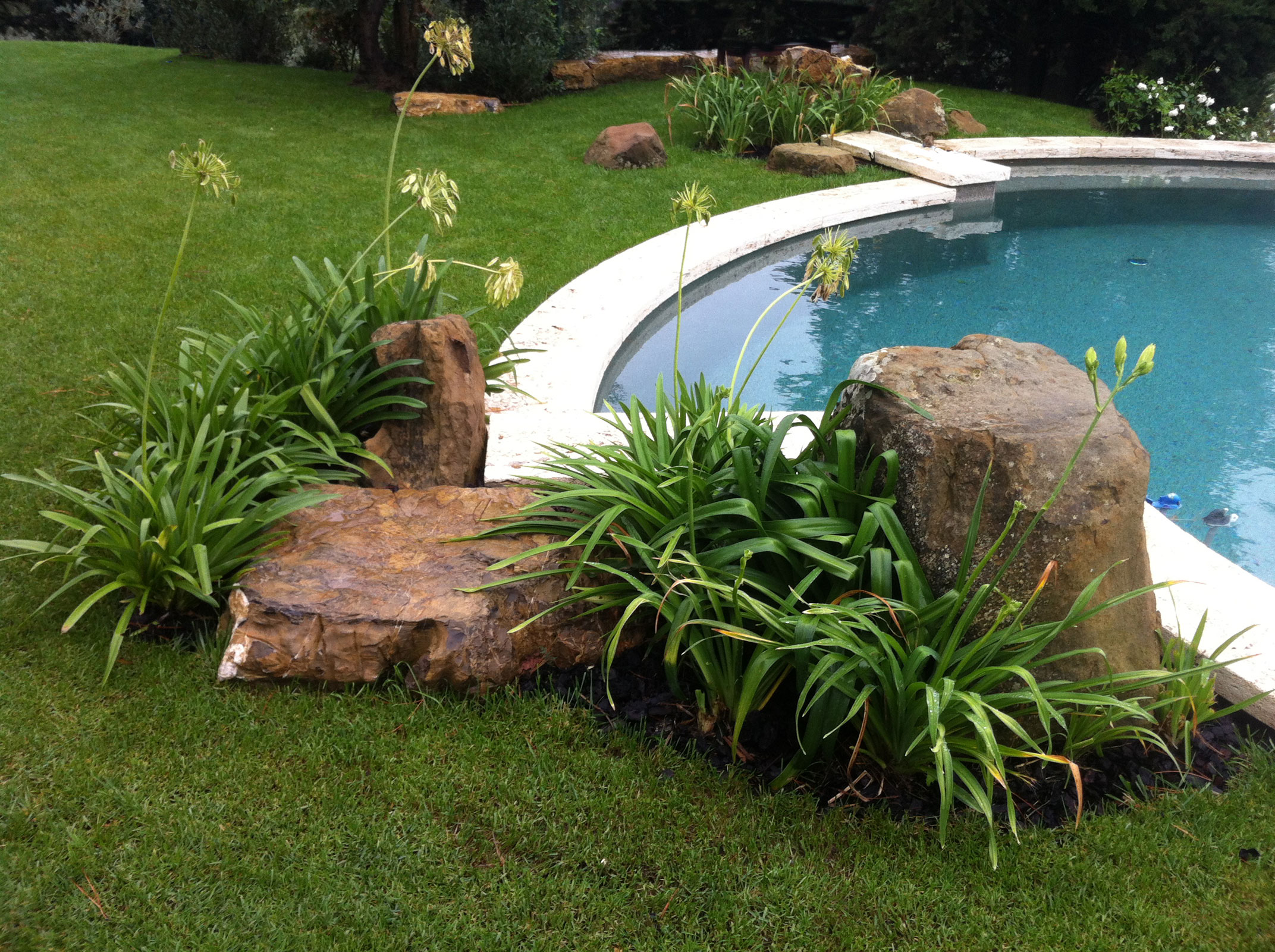 Swimming pool landscape design