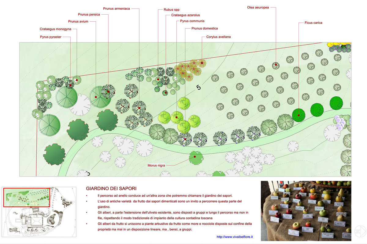 Conceptual site plan 6
