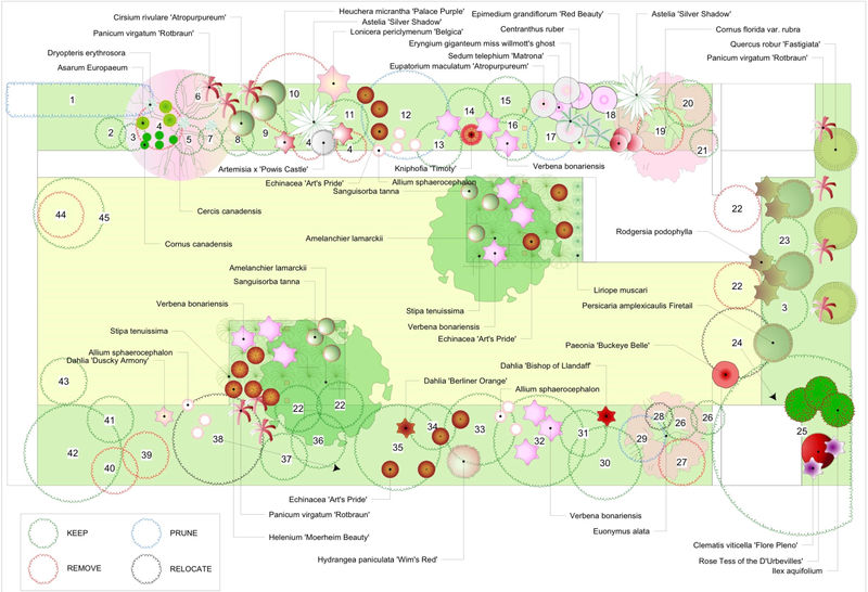 Garden design layout plan