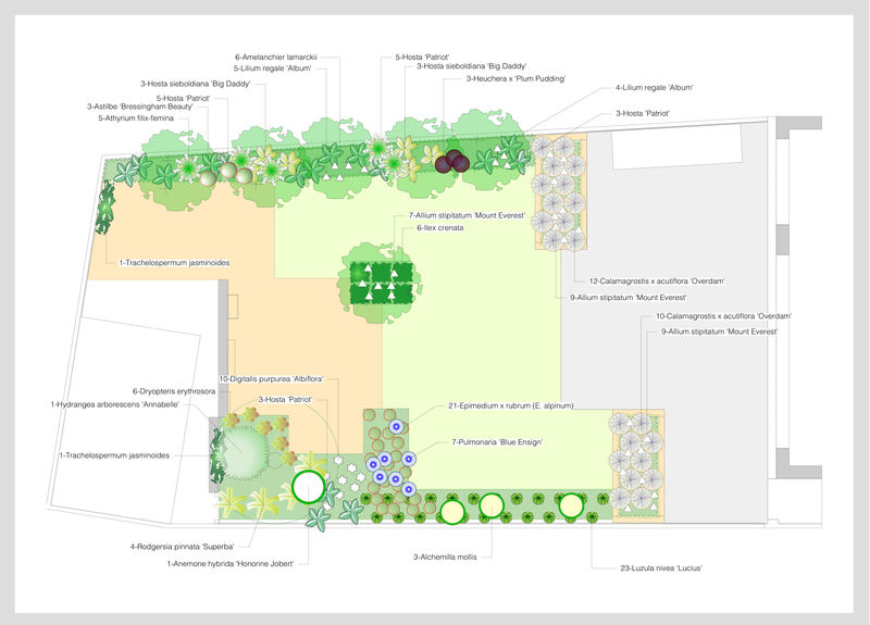 Landscape planting plan