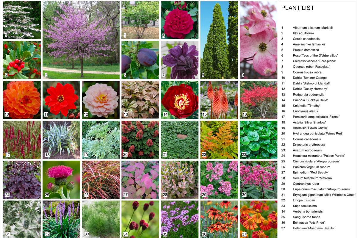 Plant list document 1