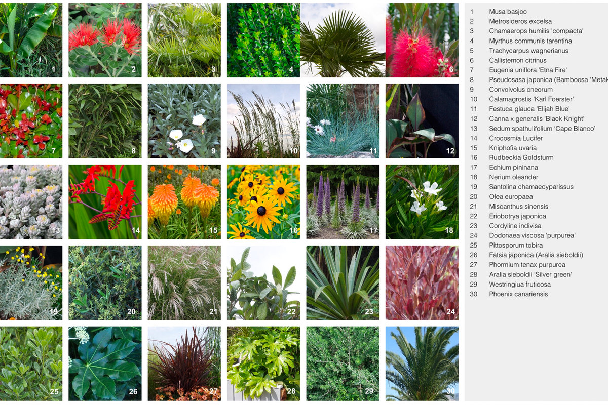 Plant list document 2